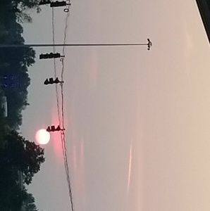 Meet your Posher, Lindsay